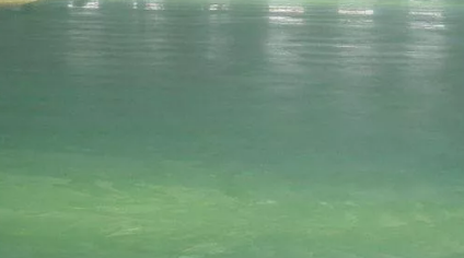 環氧地坪漆